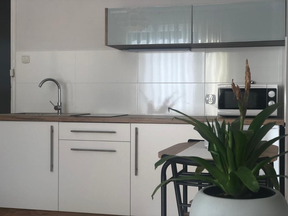 Apartament Łapacz Snów II Tylicz Zewnętrze zdjęcie